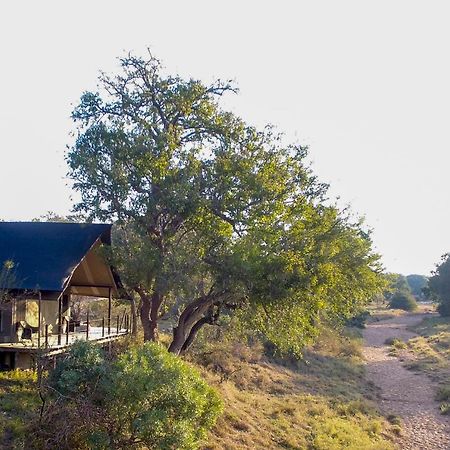 Garonga Safari Camp Villa Makalali Game Reserve Exterior photo