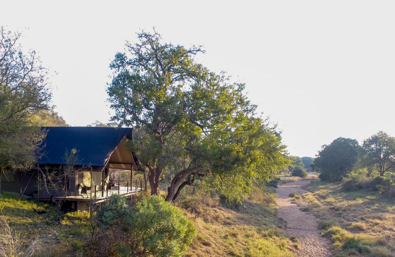 Garonga Safari Camp Villa Makalali Game Reserve Exterior photo