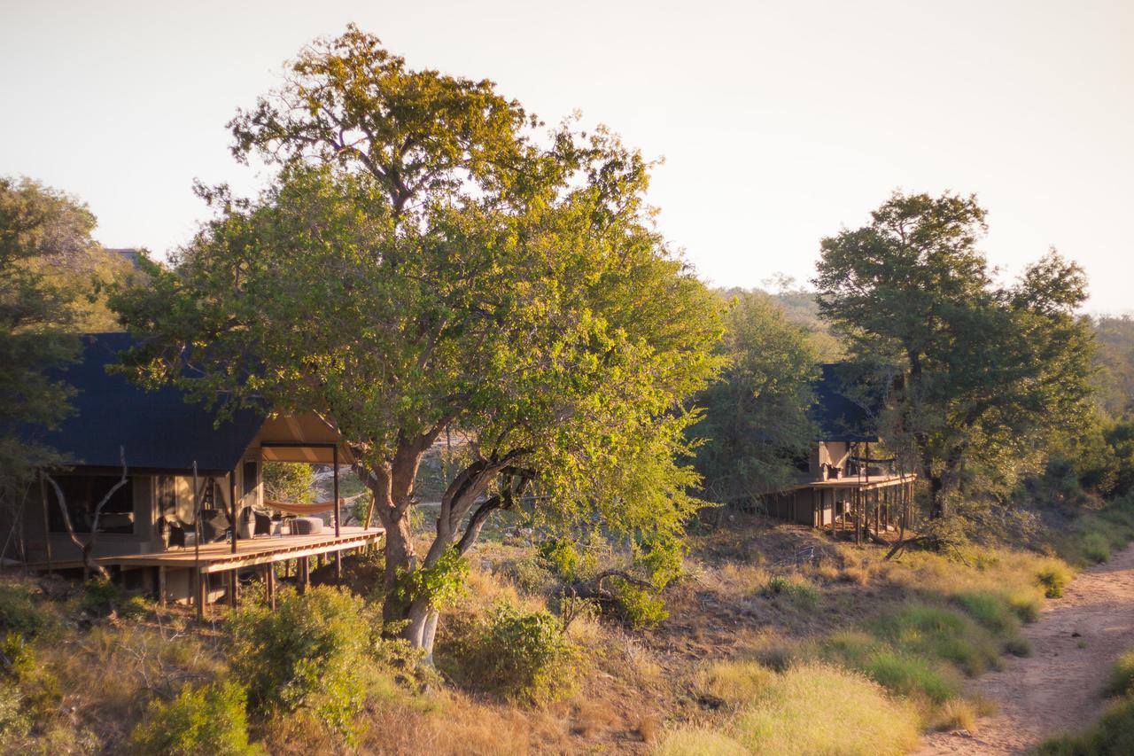 Garonga Safari Camp Villa Makalali Game Reserve Exterior photo